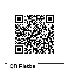 QR platba 100