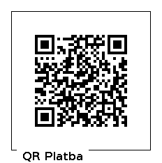 QR platba 300